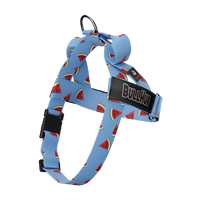 Stay Cool with BullHug Watermelon Dog Harness and Leash Set This Summer