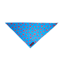 Enhance Your Dog's Style with the Watermelon BullHug Bandana