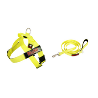 Product of the Week: Neon Yellow Combo Set for Your Furry Friend