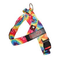 Summertime Adventures with BullHug: Customizable and Lightweight Dog Harnesses