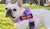 English Bulldog Harness, French Bulldog Harness, Pug Harness