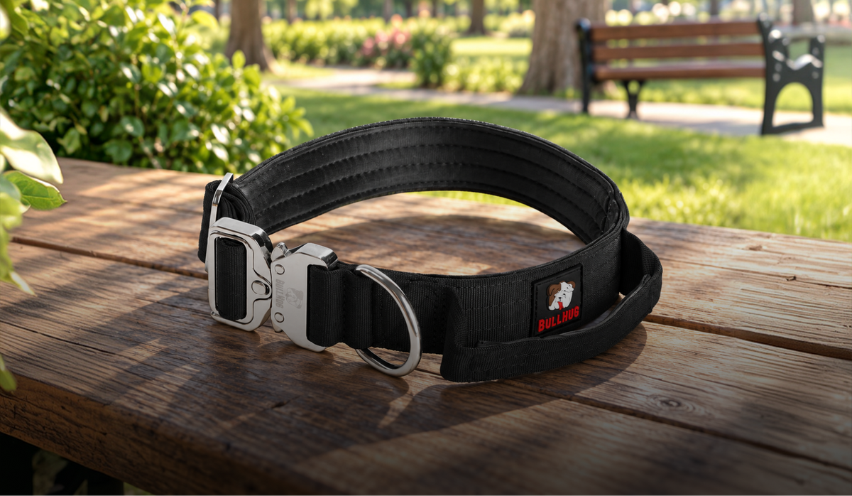 BullHug Tactical Dog Collar 