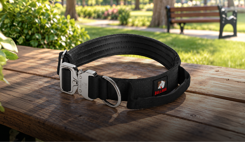 BullHug Tactical Dog Collar 