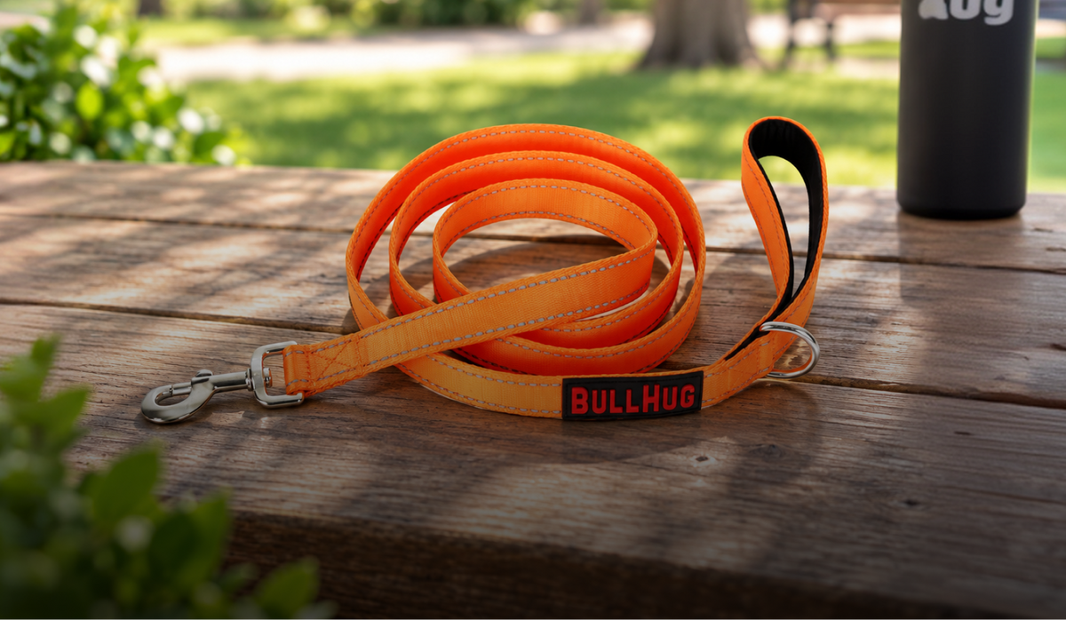 English Bulldog 6ft Leash