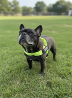 Neon Green BullHug Dog Harness – Non-Choking, Adjustable