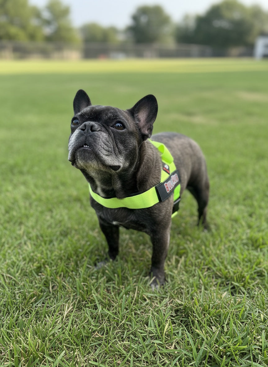 Neon Green BullHug Dog Harness – Non-Choking, Adjustable