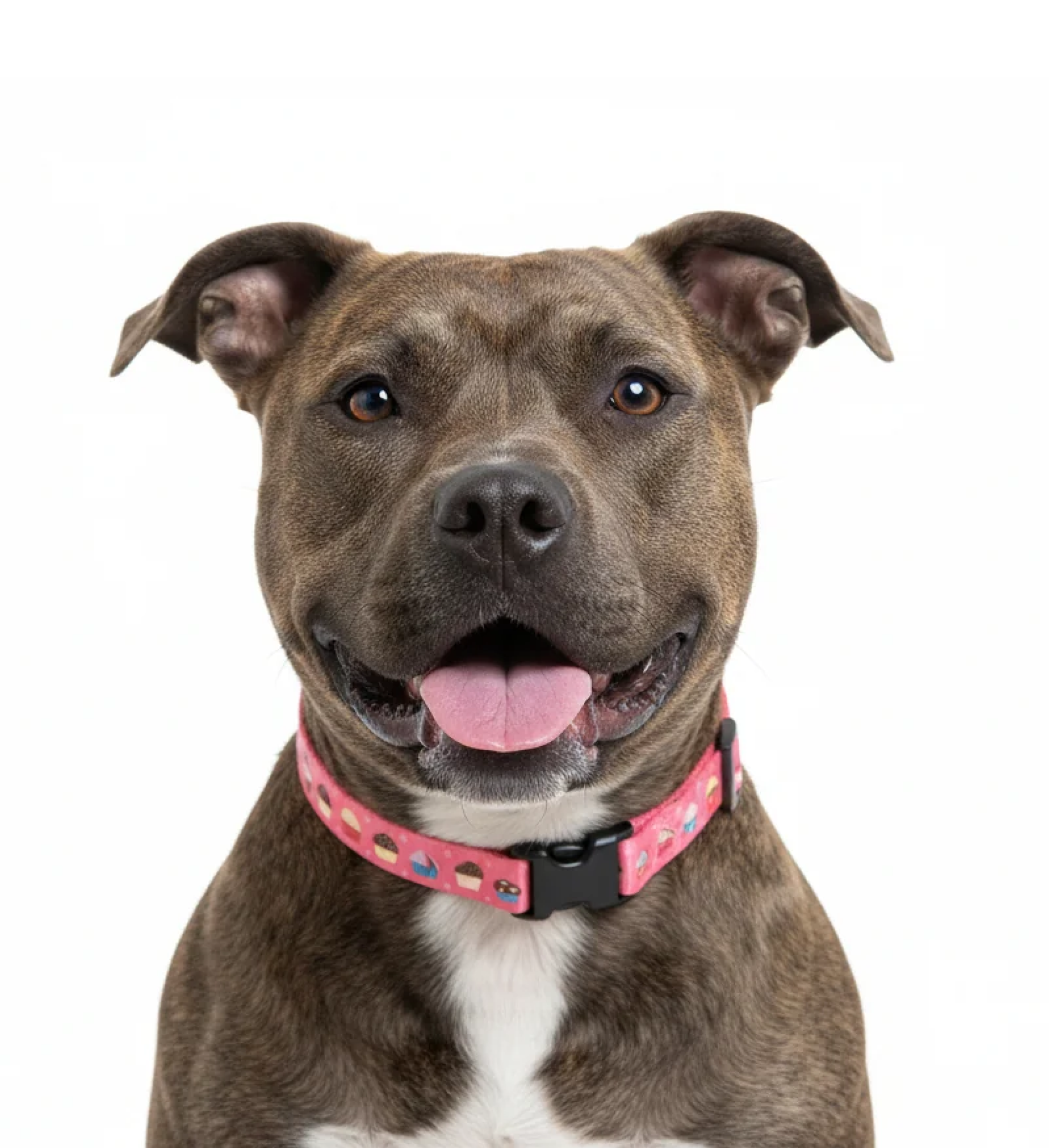 BullHug Cupcake Collar