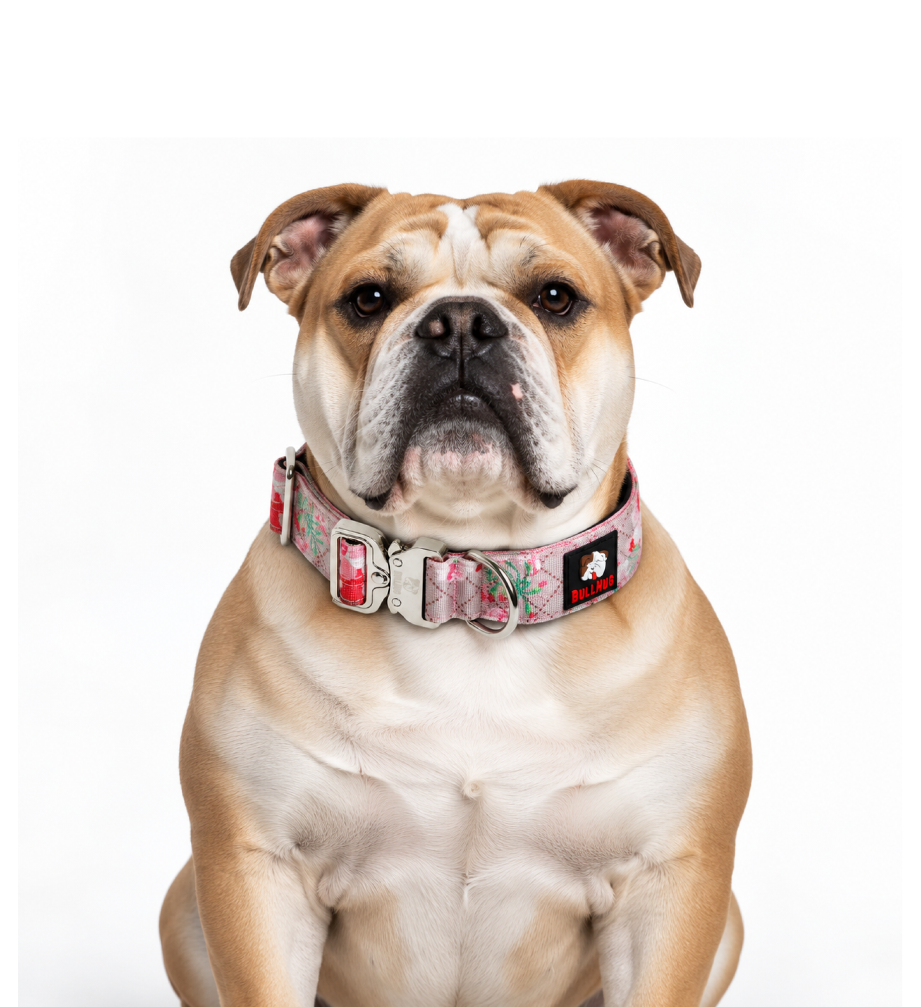 1.5-INCH BULLHUG TACTICAL COLLAR - PINK FLORAL
