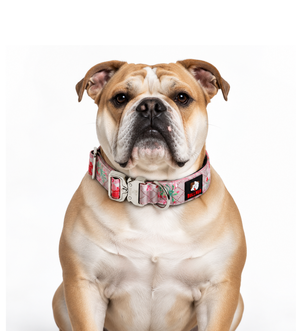 1.5-INCH BULLHUG TACTICAL COLLAR - PINK FLORAL