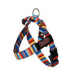 Fiesta BullHug Dog Harness & Leash Combo