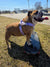 Purple Floral BullHug Dog Harness – Non-Choking, Adjustable