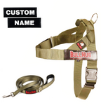 Olive Green BullHug Dog Harness & Leash Combo