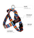 Fiesta BullHug Dog Harness – Non-Choking, Adjustable