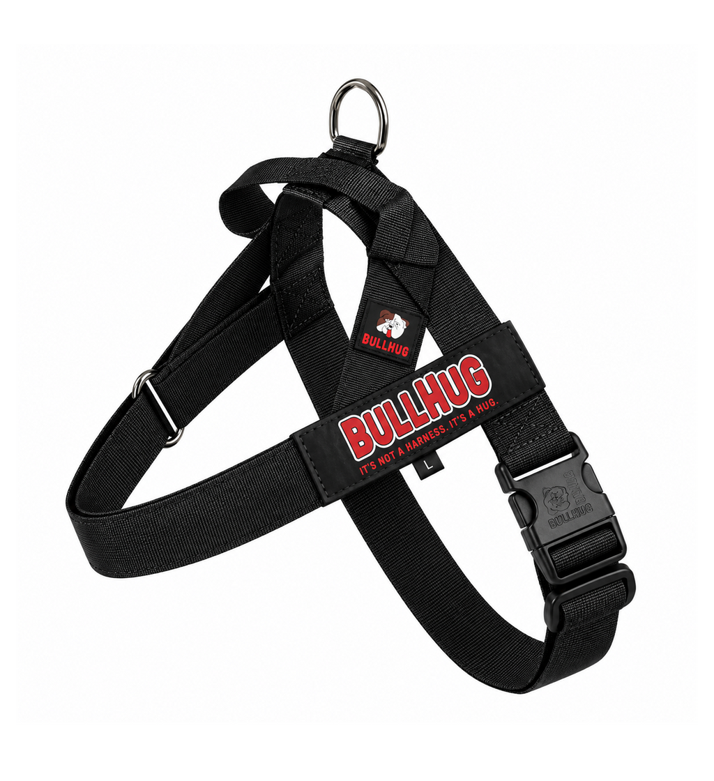 Black BullHug Dog Harness & Leash Combo