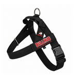 Black BullHug Dog Harness & Leash Combo