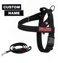 Black BullHug Dog Harness & Leash Combo