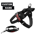 Black BullHug Dog Harness & Leash Combo