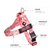 Cupcake BullHug Dog Harness – Non-Choking, Adjustable