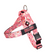 Cupcake BullHug Dog Harness – Non-Choking, Adjustable