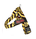 Caution BullHug Dog Harness & Leash Combo