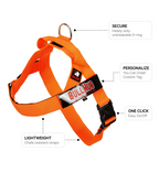 Neon Orange BullHug Dog Harness – Non-Choking, Adjustable