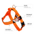 Neon Orange BullHug Dog Harness – Non-Choking, Adjustable