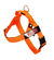 Neon Orange BullHug Dog Harness – Non-Choking, Adjustable