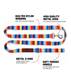 Fiesta BullHug 6ft Dog Leash – Padded Handle