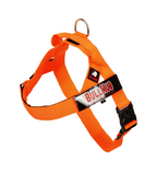 Neon Orange BullHug Dog Harness & Leash Combo