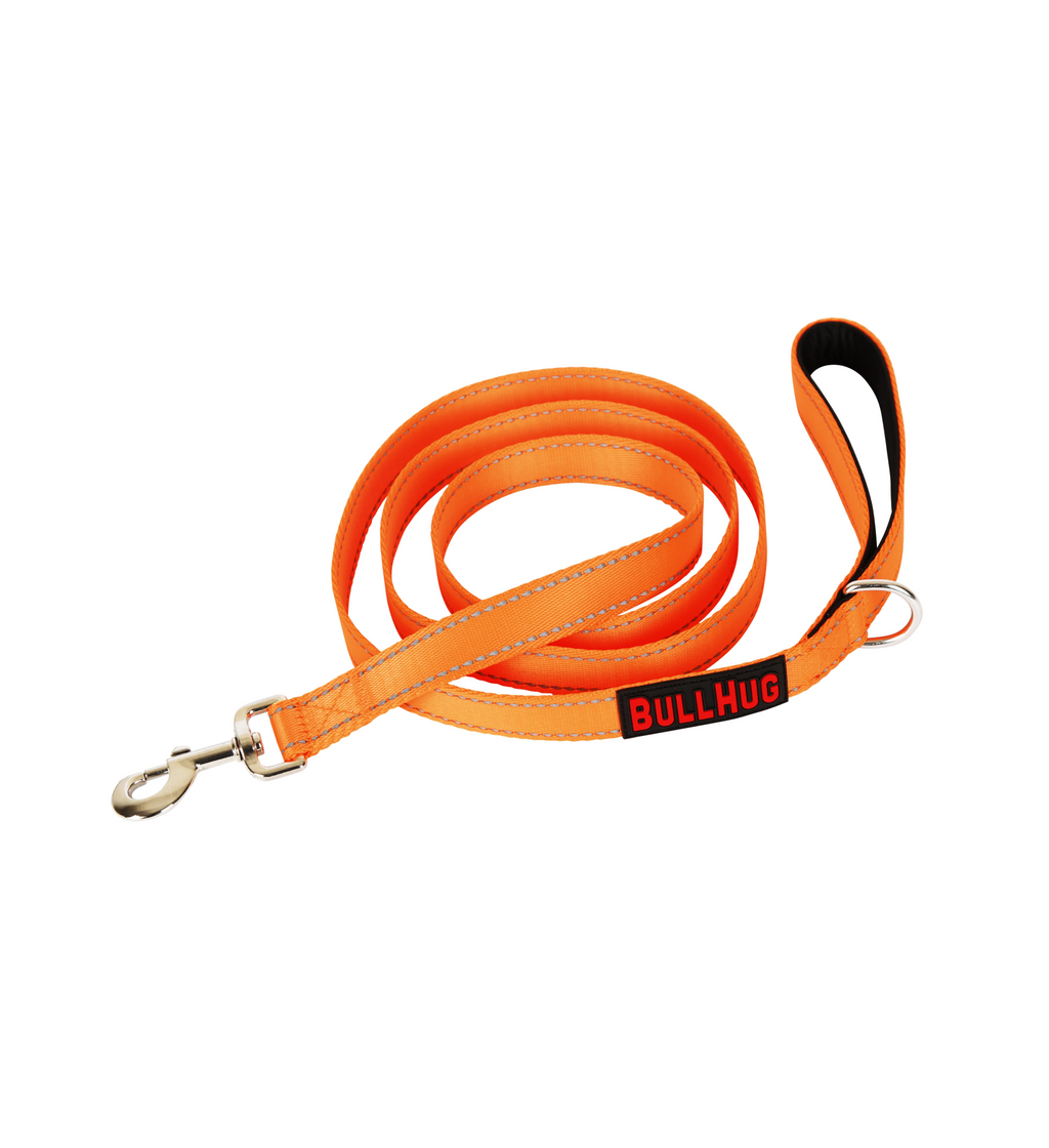 Neon Orange BullHug Dog Harness & Leash Combo