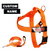 Neon Orange BullHug Dog Harness & Leash Combo
