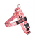 Cupcakes BullHug Dog Harness & Leash Combo