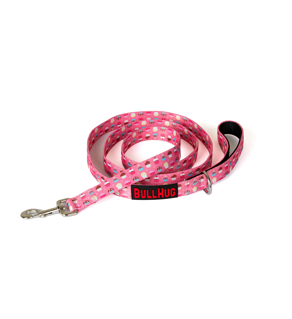 Cupcakes BullHug Dog Harness & Leash Combo