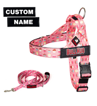 Cupcakes BullHug Dog Harness & Leash Combo