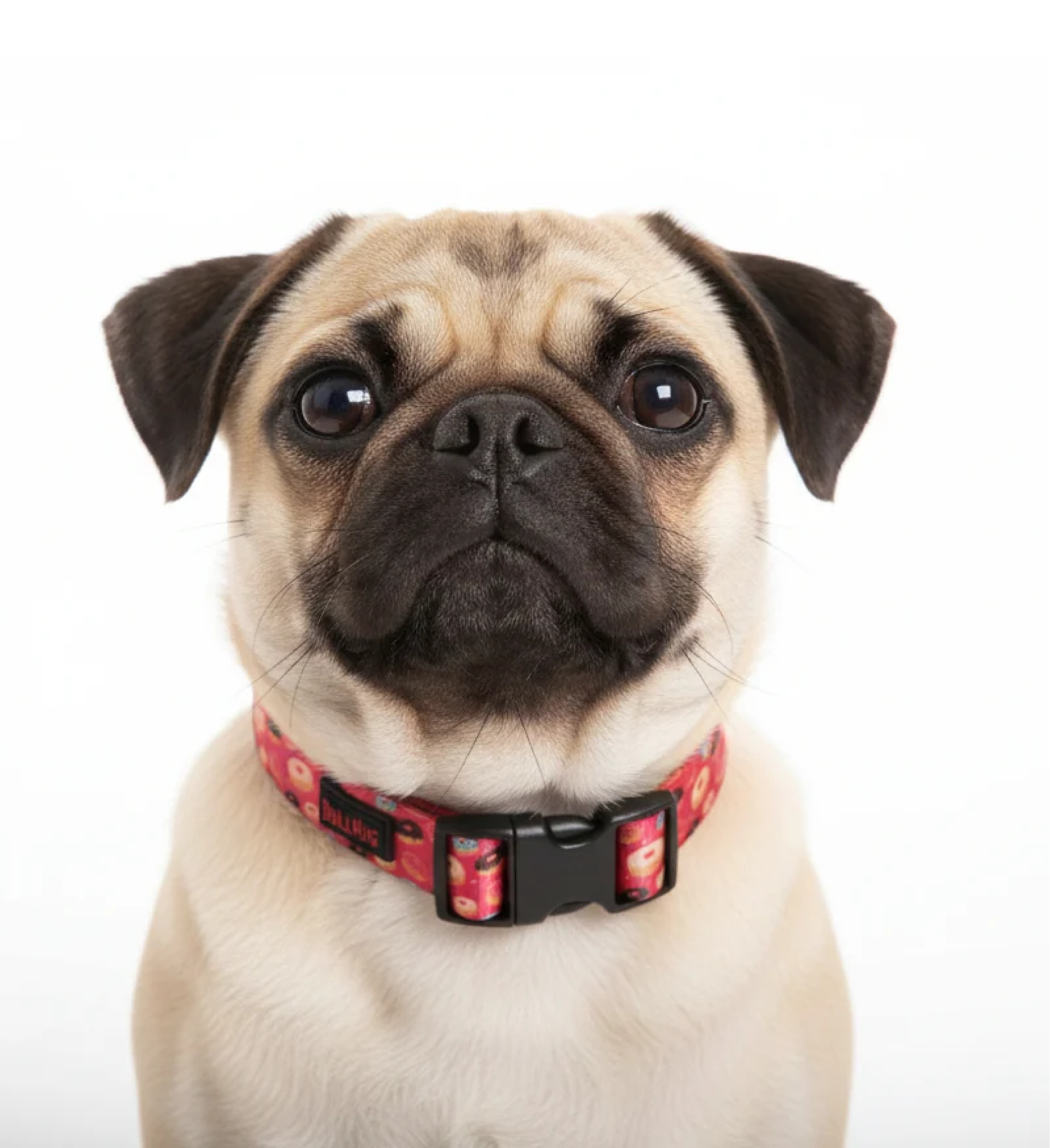 BullHug Donut Collar