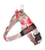 Pink Floral BullHug Dog Harness – Non-Choking, Adjustable