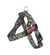 Tropical Birds BullHug Dog Harness & Leash Combo