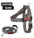 Tropical Birds BullHug Dog Harness & Leash Combo