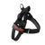 "Black" BullHug Harness Essentials Combo