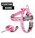 Pink Skulls BullHug Dog Harness & Leash Combo