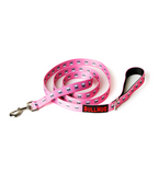 Pink Skulls BullHug Dog Harness & Leash Combo