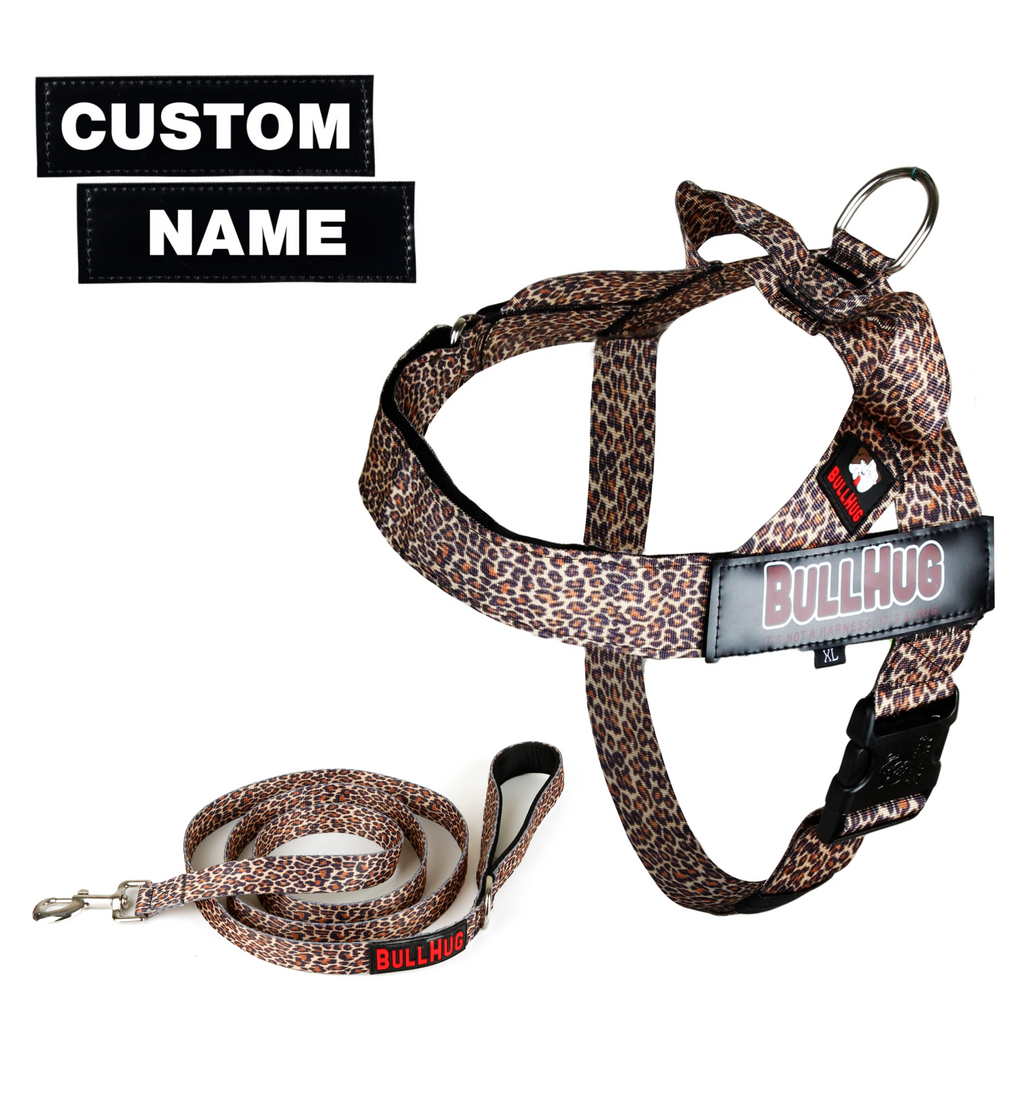 Leopard BullHug Dog Harness & Leash Combo