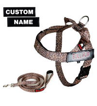 Leopard BullHug Dog Harness & Leash Combo