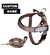 Leopard BullHug Dog Harness & Leash Combo