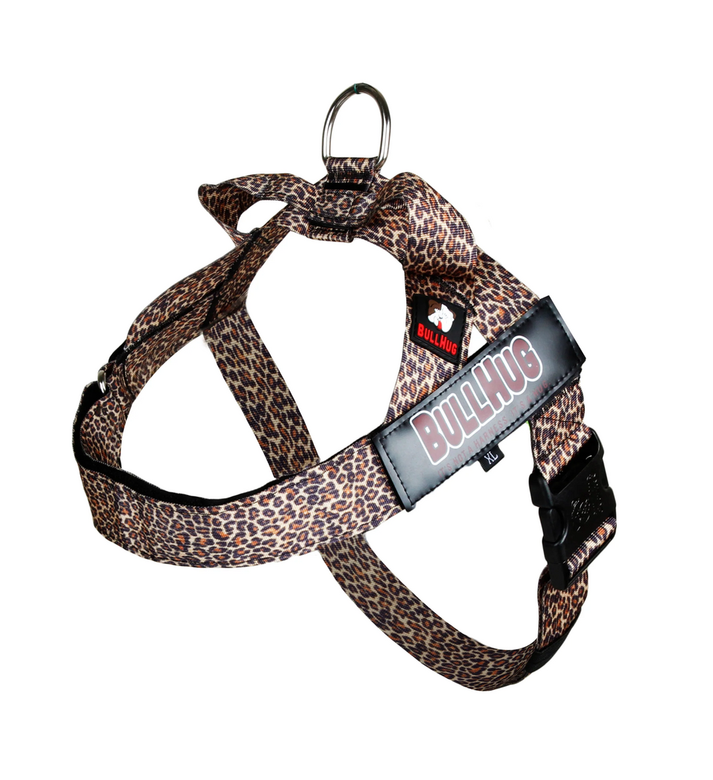 Leopard BullHug Dog Harness & Leash Combo