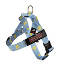 Honeybee BullHug Dog Harness – Non-Choking, Adjustable
