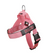 Baby Pink BullHug Dog Harness – Non-Choking, Adjustable