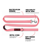 Baby Pink BullHug 6ft Dog Leash – Padded Handle