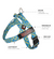 Rubber Ducky BullHug Dog Harness – Non-Choking, Adjustable