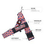 Stars & Stripes BullHug Dog Harness – Non-Choking, Adjustable